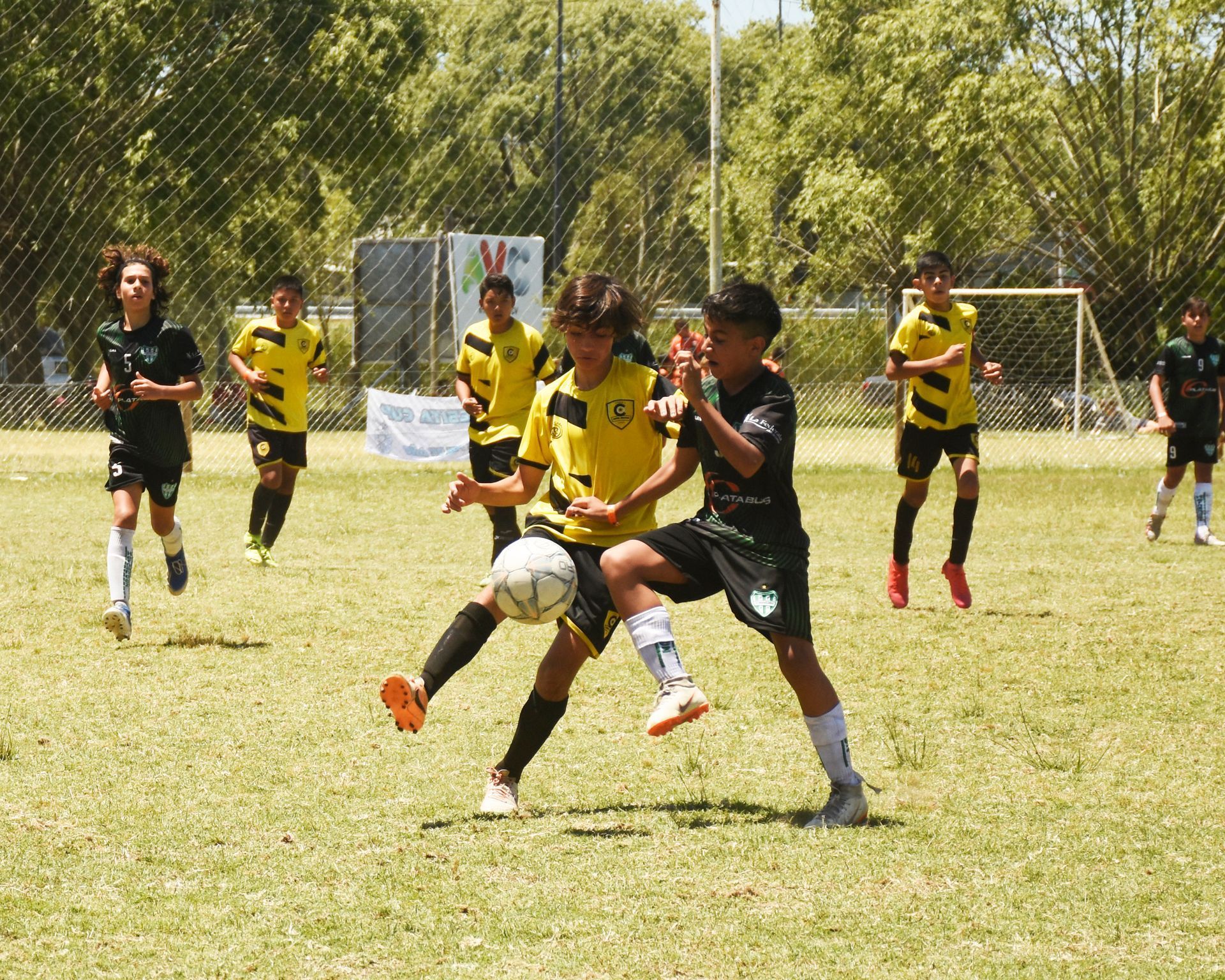 STC TORNEOS