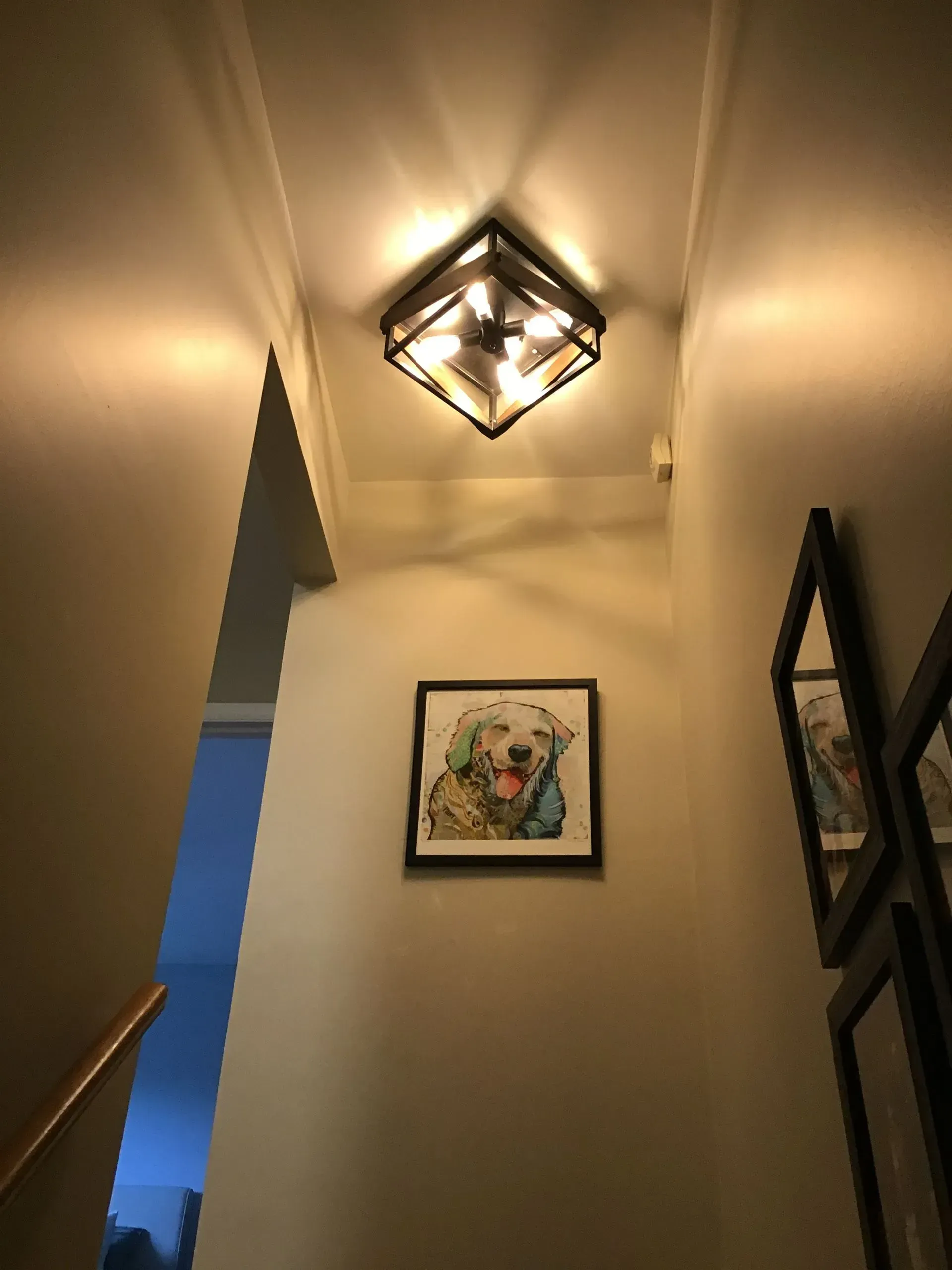 Hallway with dog art, geometric ceiling light, and framed pictures.
