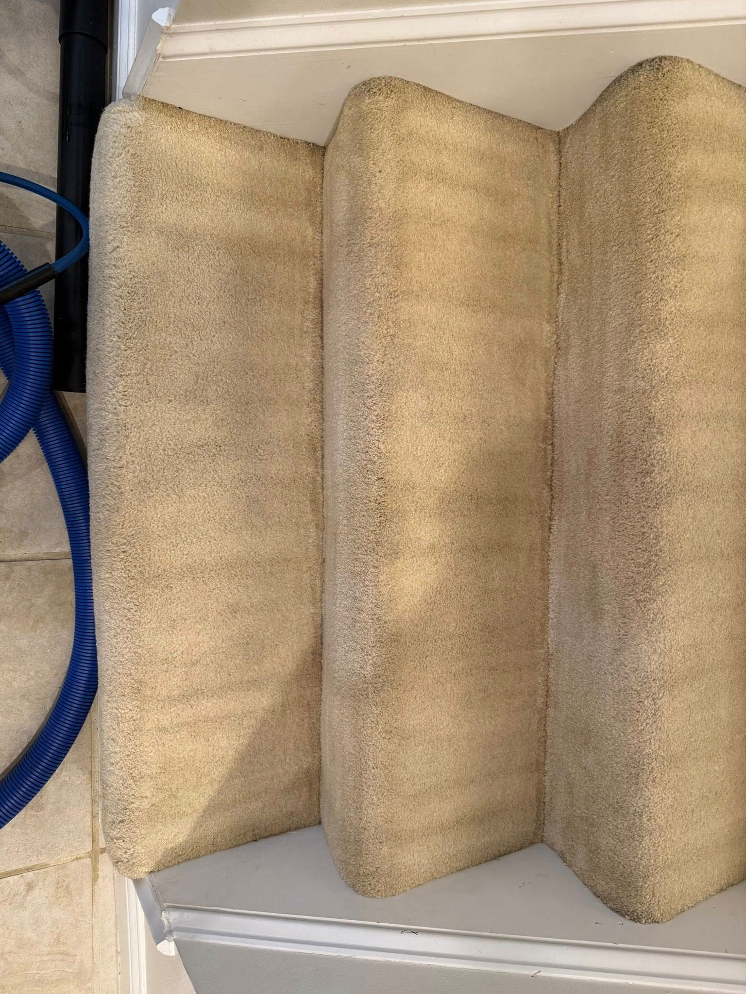 Top-down view of three tan carpeted stairs with a blue hose on the left.