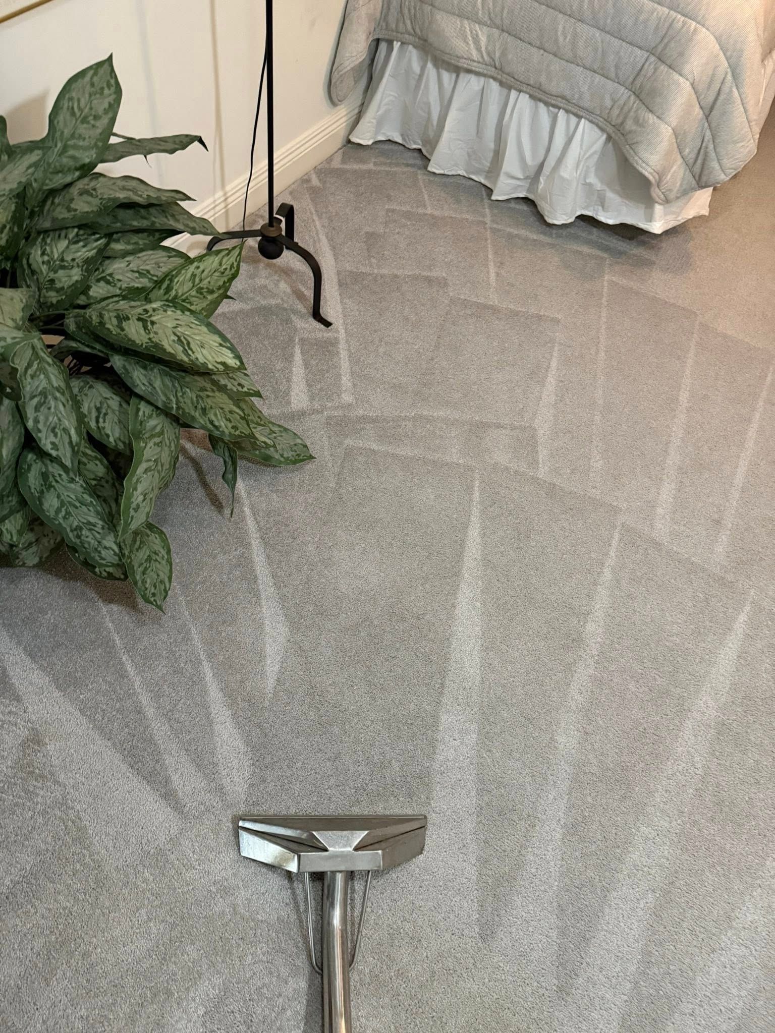A metal carpet cleaning wand tool sits on a gray carpet with visible cleaning strokes, near a houseplant and a bed.