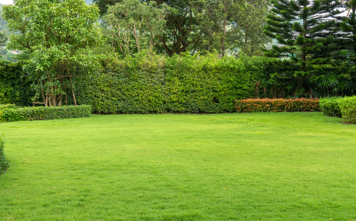 Grass Cutting