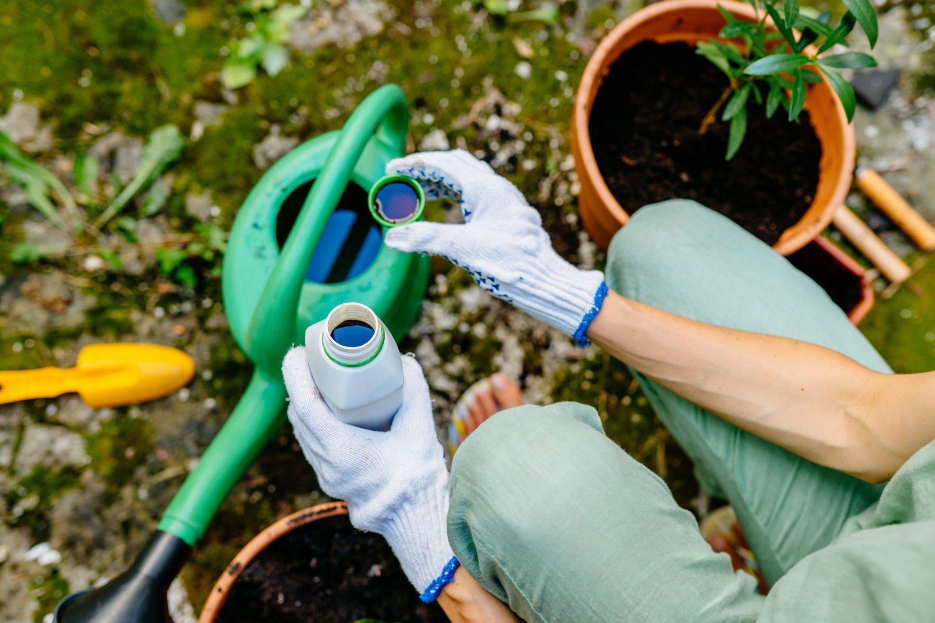 Lawn Fertilization Services