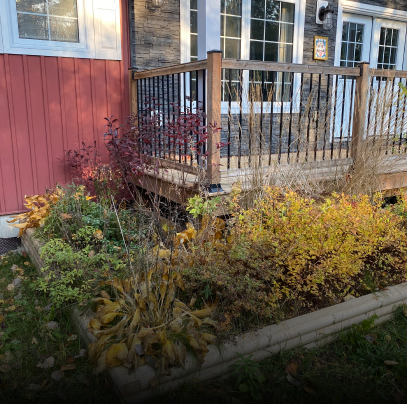 house landscaping