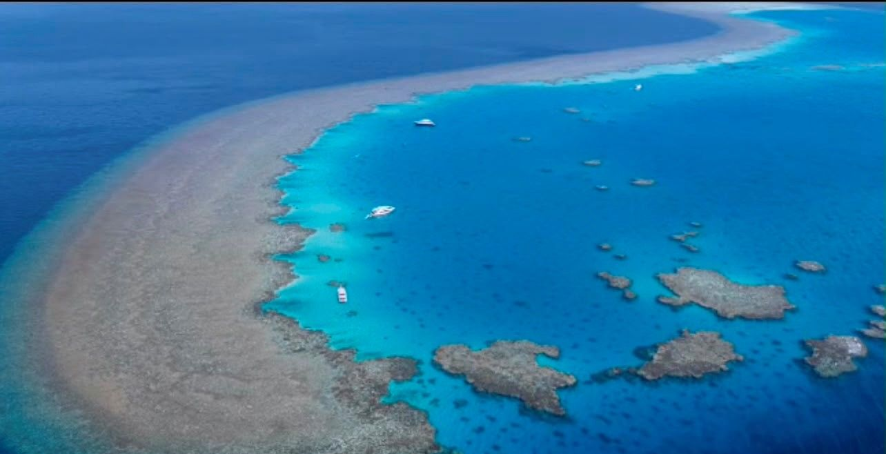 Sataya Dolphinreef