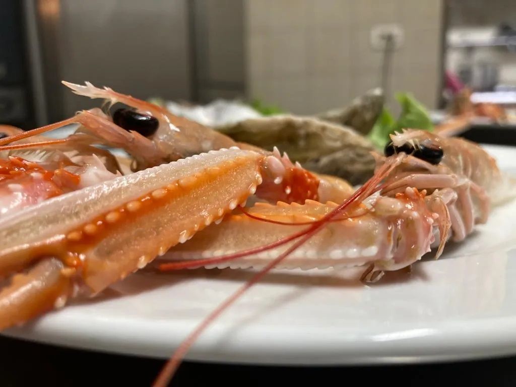 piatti di pesce