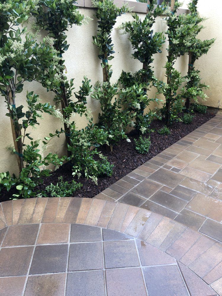 A patio with a brick walkway and trees in the background.