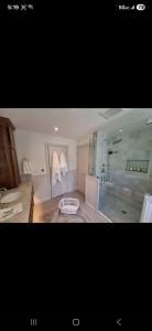 Bright bathroom with white vanity, glass shower, and central soaking tub on wood floor