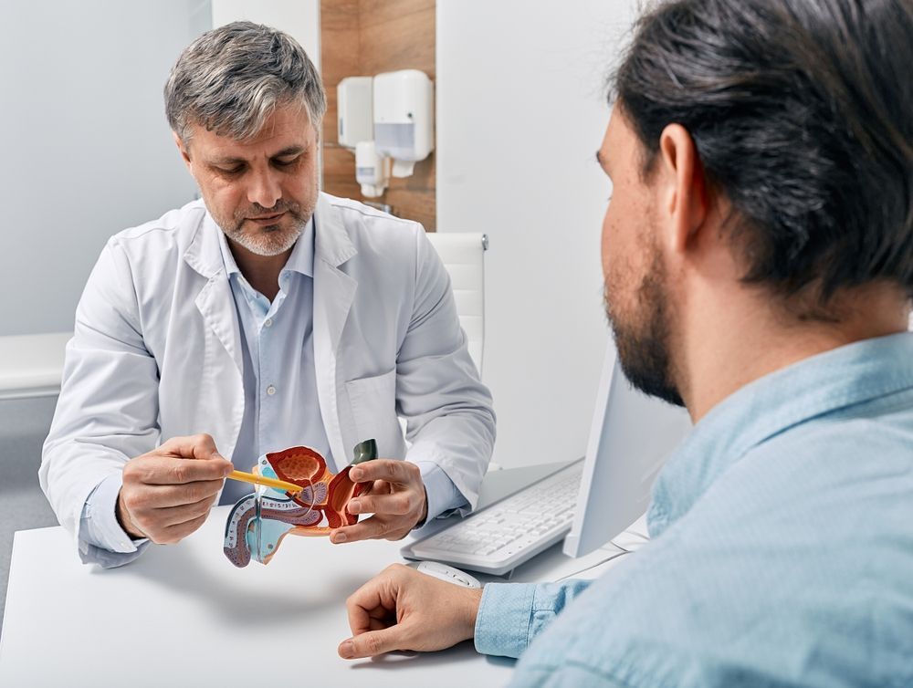 Doctor Explaining a Pelvic Anatomy Model to a Patient in a Clinic Office — HealthHub Taree in Taree, NSW
