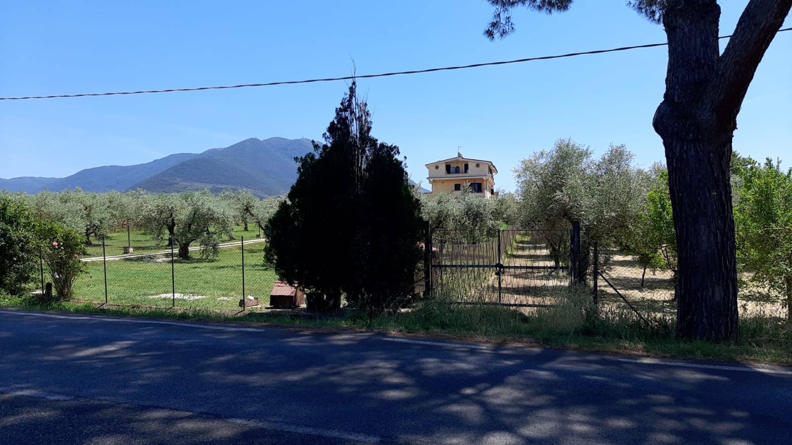 IL GIRASOLE B & B