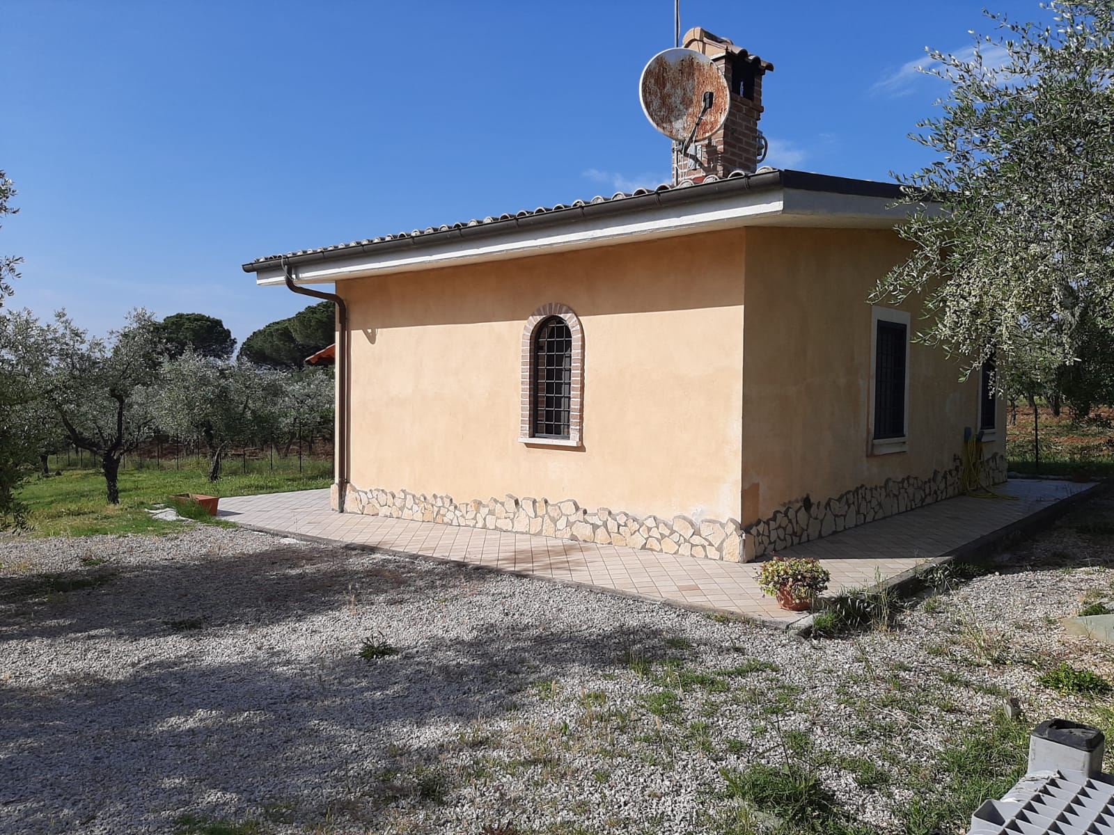 IL GIRASOLE B & B