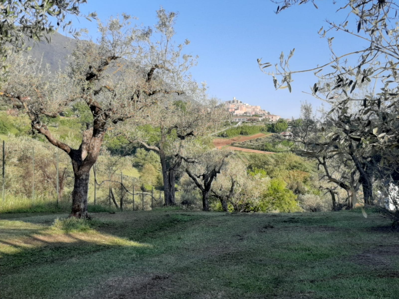 IL GIRASOLE B & B