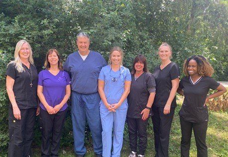 Entire Staff Photo — Patrick J. Connell DDS Family Dentistry Entire Staff Photo — Patrick J. Connell DDS Family Dentistry