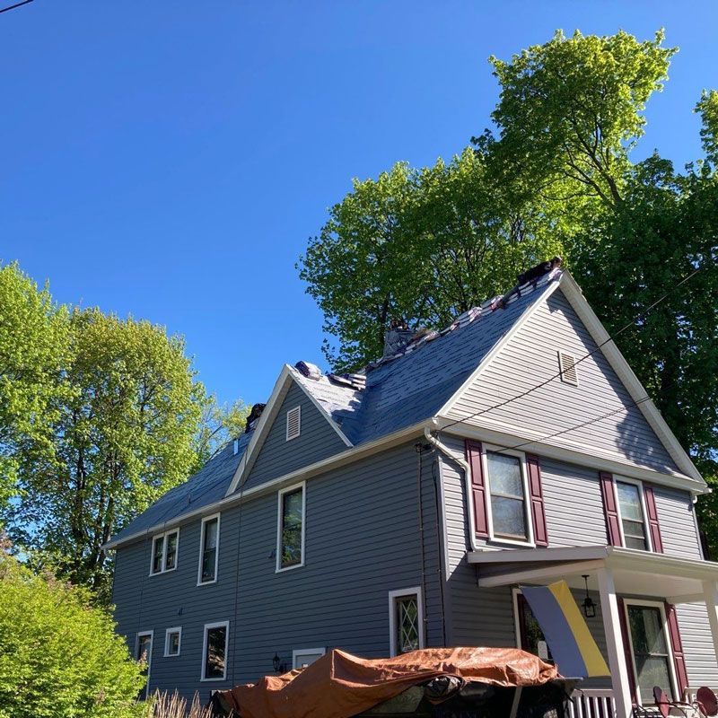 Blue house with white trim and a covered porch, surrounded by tall green trees under a clear sky