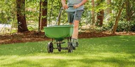 Person pushing a green wheelbarrow across a grassy yard with trees in the background