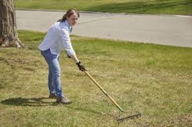 Person raking dry grass in a yard with a long-handled rake.