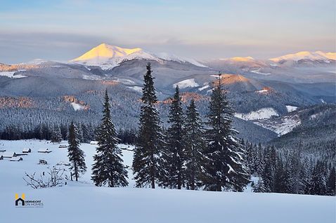 Snowy mountain landscape with evergreen trees at sunrise and distant peaks under a pastel sky