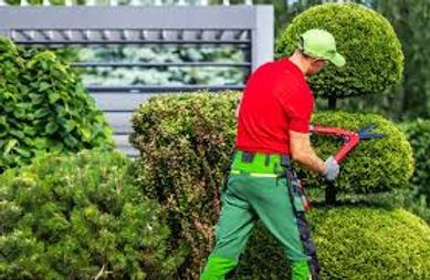 Person spraying pesticide on a green lawn with a handheld sprayer