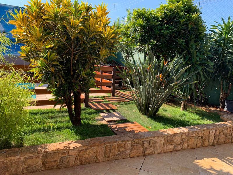 Uma paisagem de jardim com um cróton variegado em tons de verde-amarelo, uma agave espinhosa e uma passarela de madeira sobre um gramado.