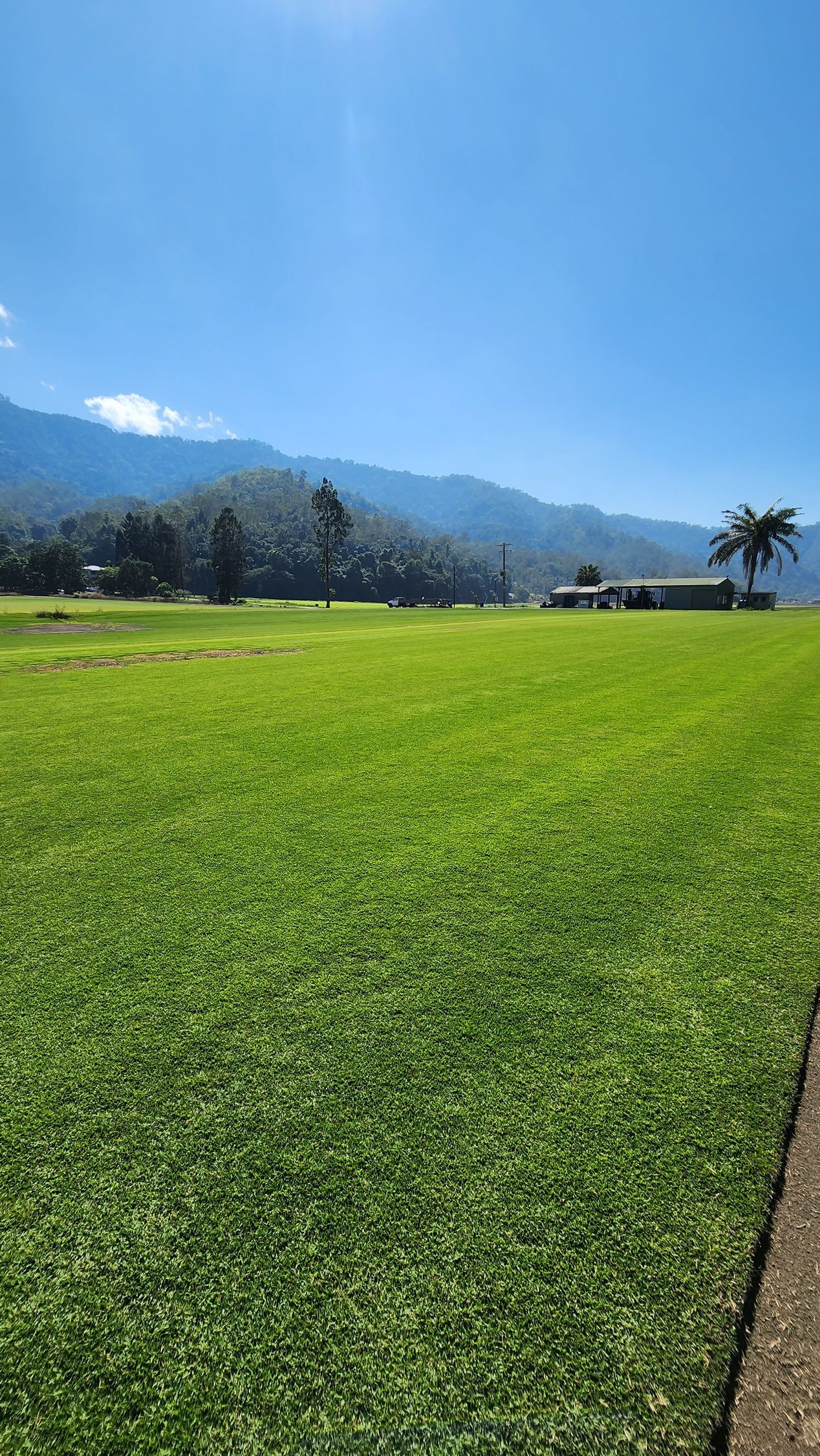 Turf 