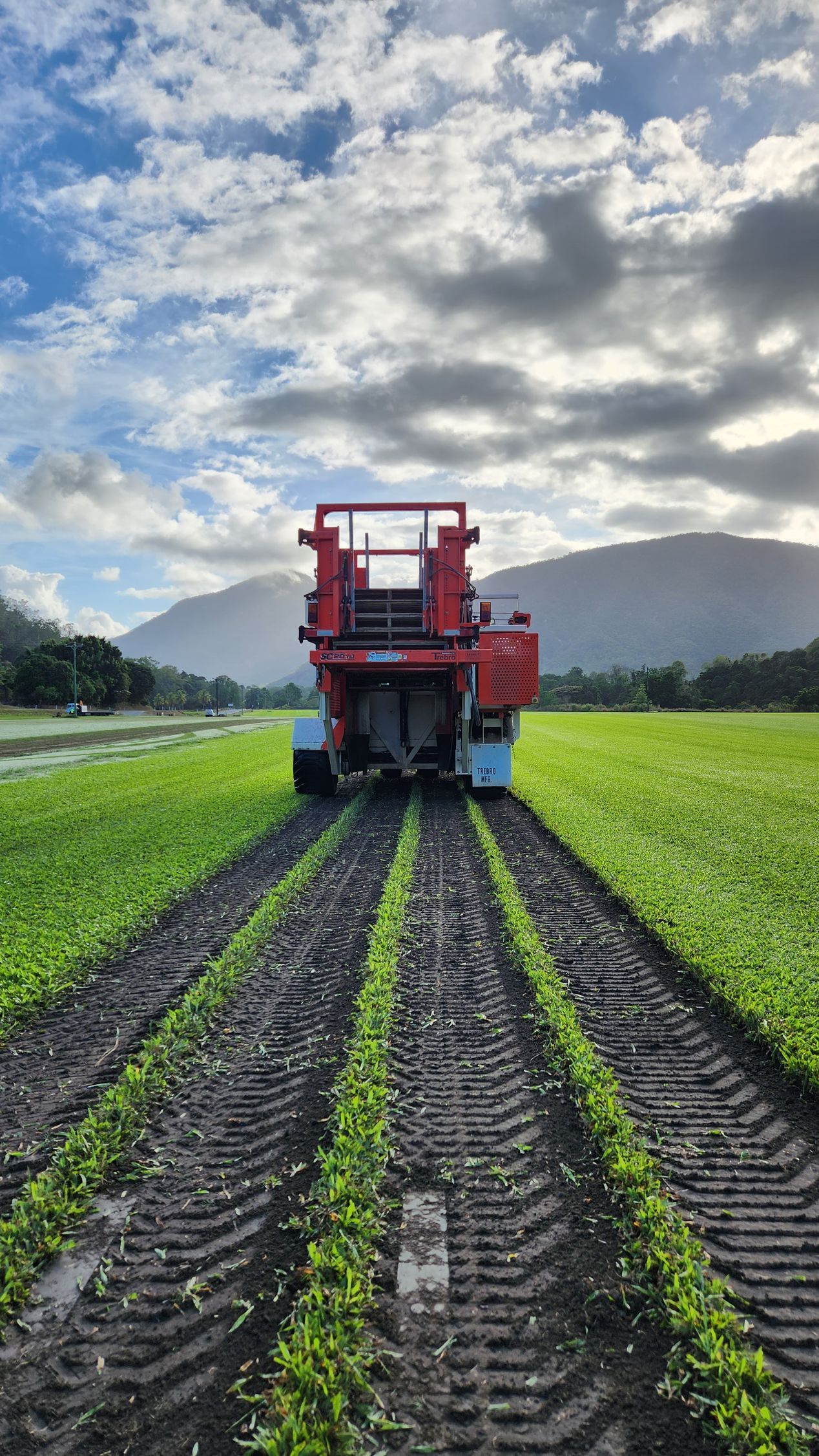 Lawn-maintenance