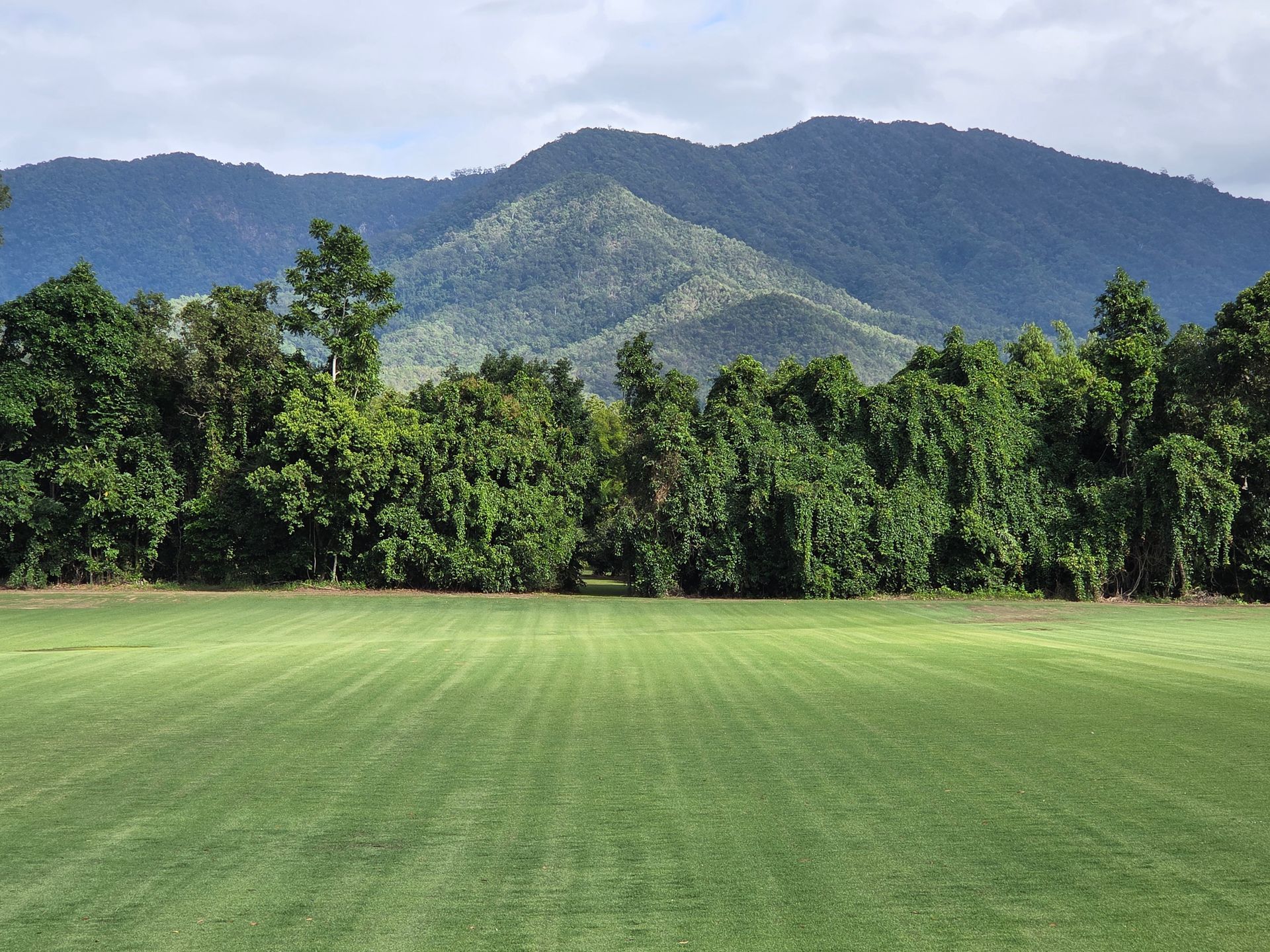 Zoysia-maintenance
