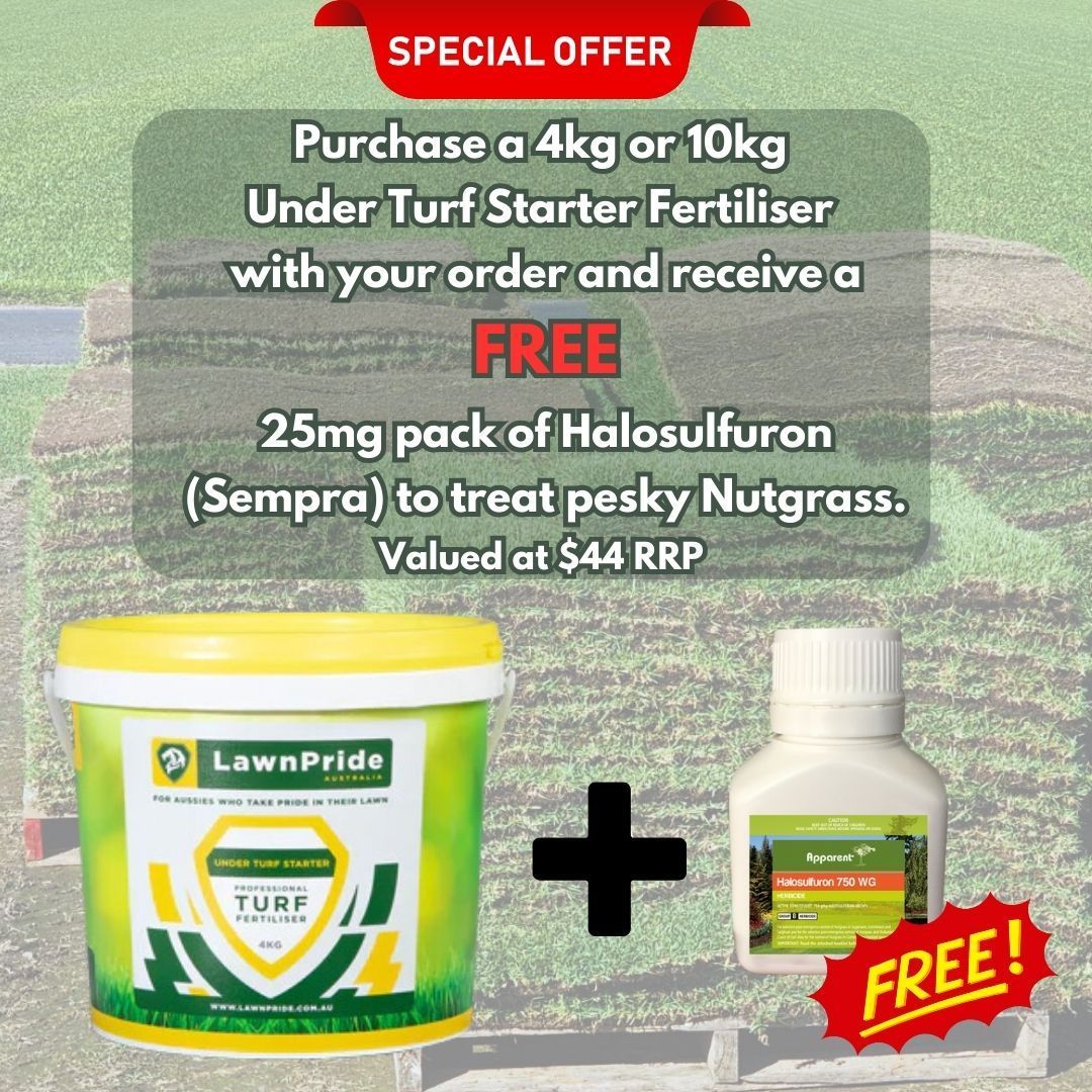 A special offer to purchase a 4kg or 10kg under turf starter fertiliser