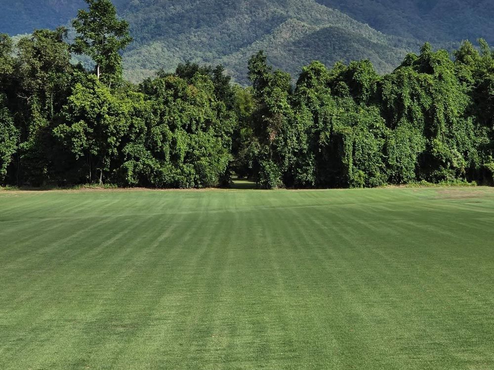 Lush Green Turf Farm Field
