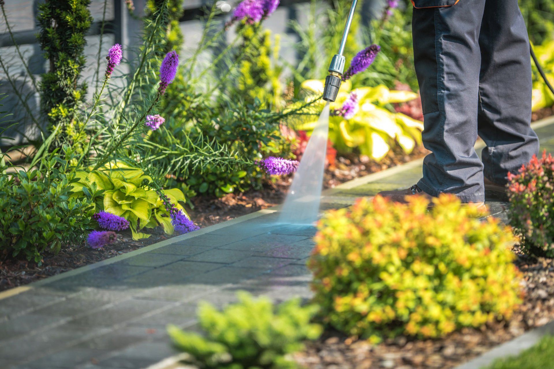 A man is using a high pressure washer to clean a sidewalk in a garden.