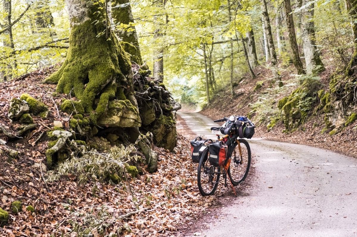 Bicicletta carica di attrezzatura su una strada asfaltata attraverso un bosco. Foglie autunnali e alberi muschiosi.