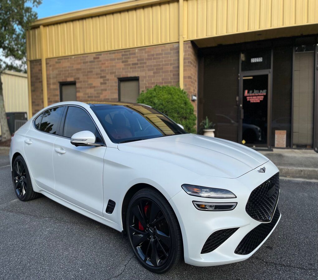paint protection film