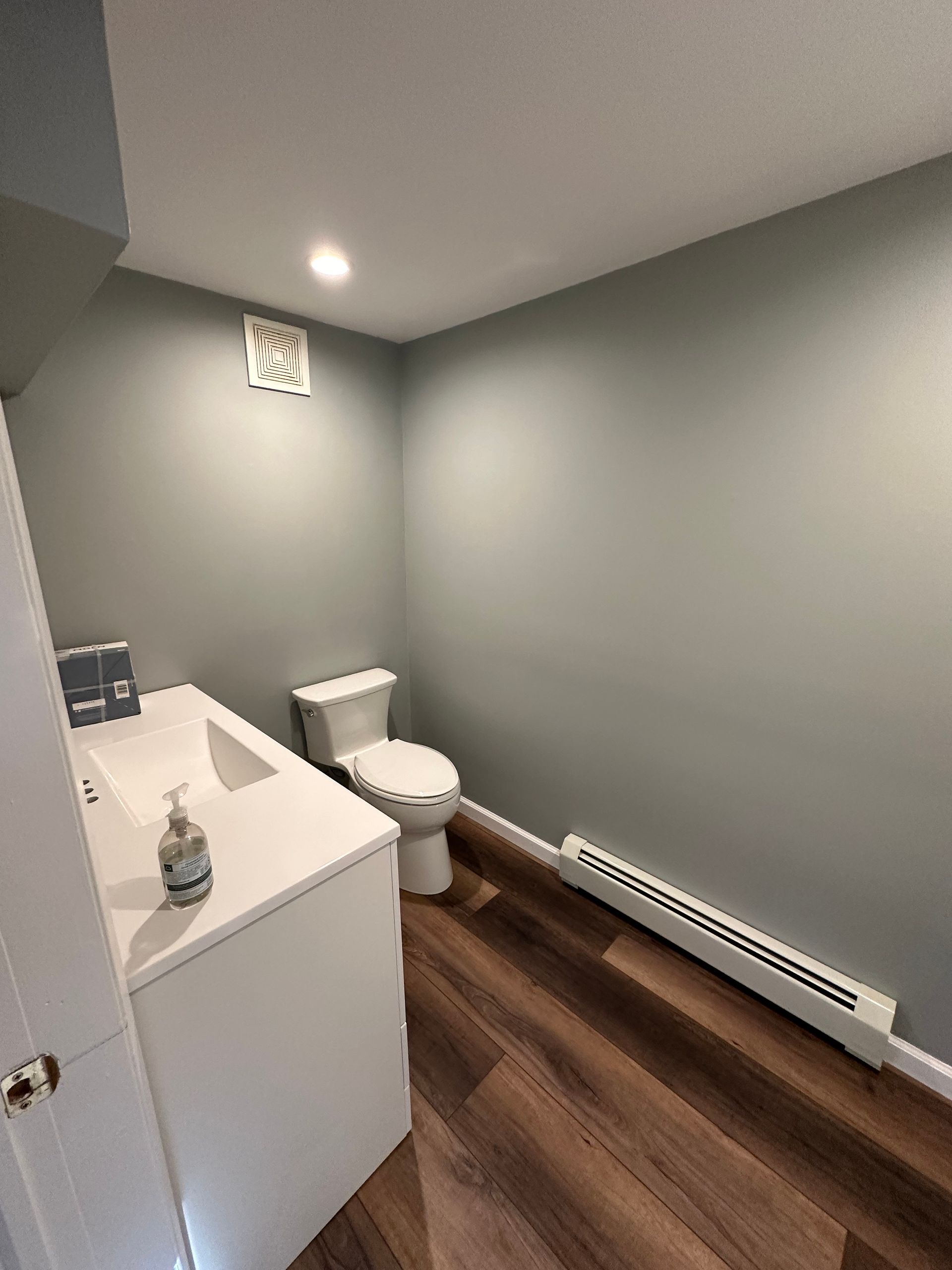 Small bathroom with white vanity, toilet, gray walls, wood floor, and ceiling light.