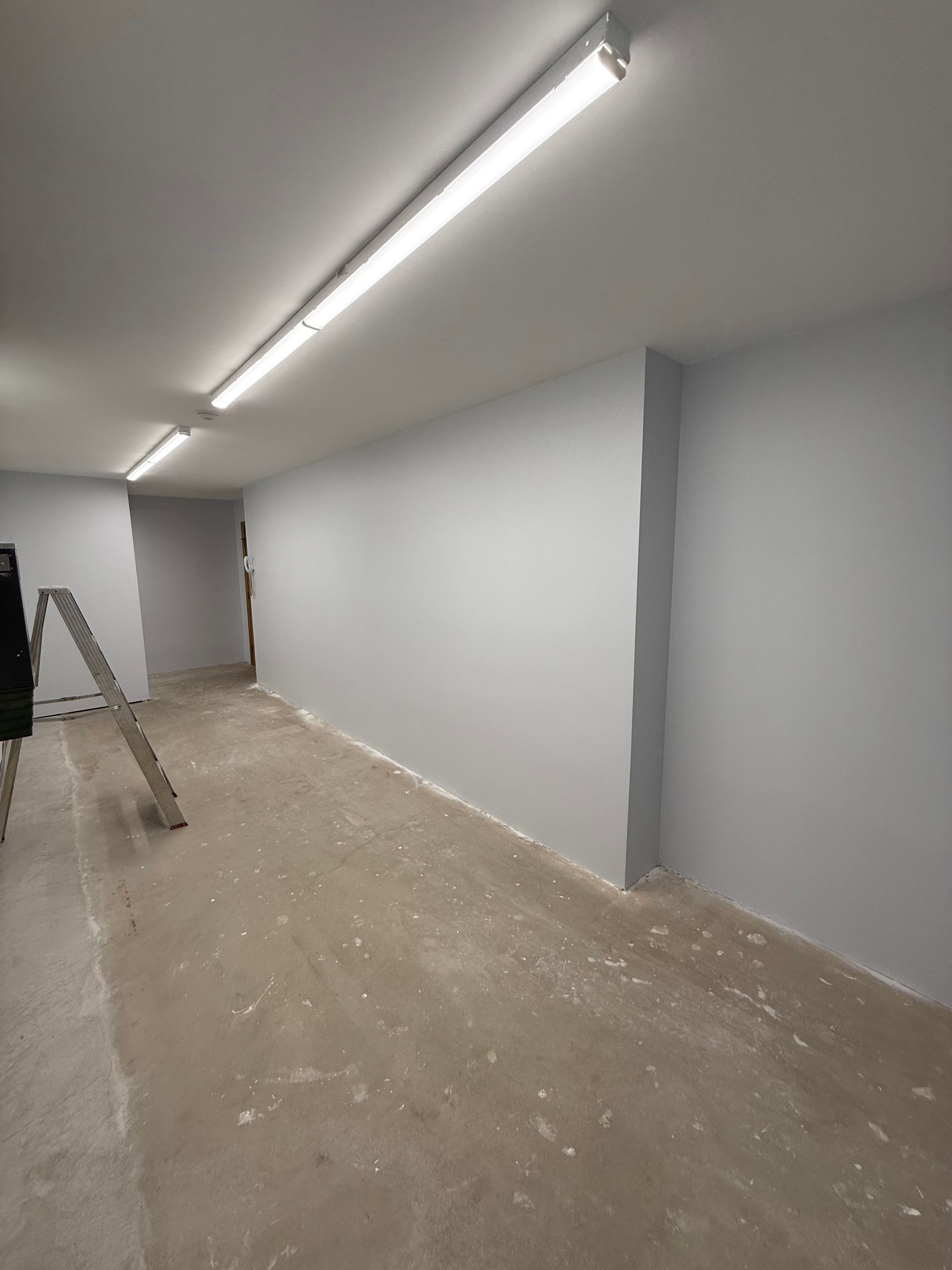 Gray-painted room with fluorescent lights, a ladder, and concrete floor.