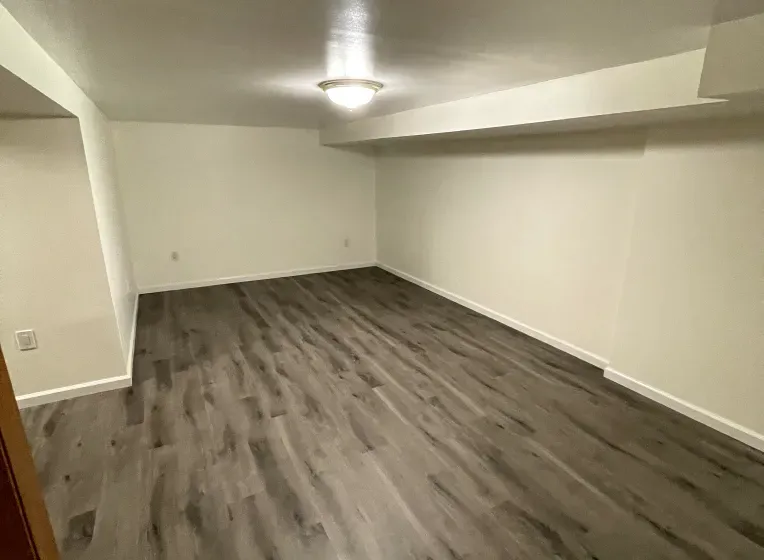 Empty basement room with gray wood-look flooring, white walls, and a ceiling light.