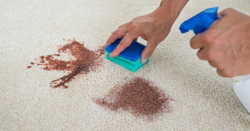 Person spraying and scrubbing a brown stain on a beige carpet with a blue spray bottle and sponge.