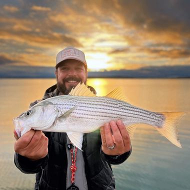 Striper Fishing, Canyon Lake