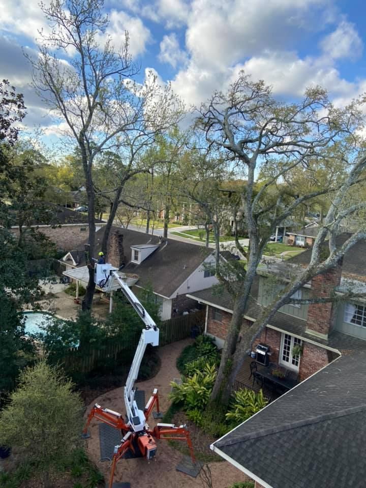 A crane is cutting a tree in front of a house.