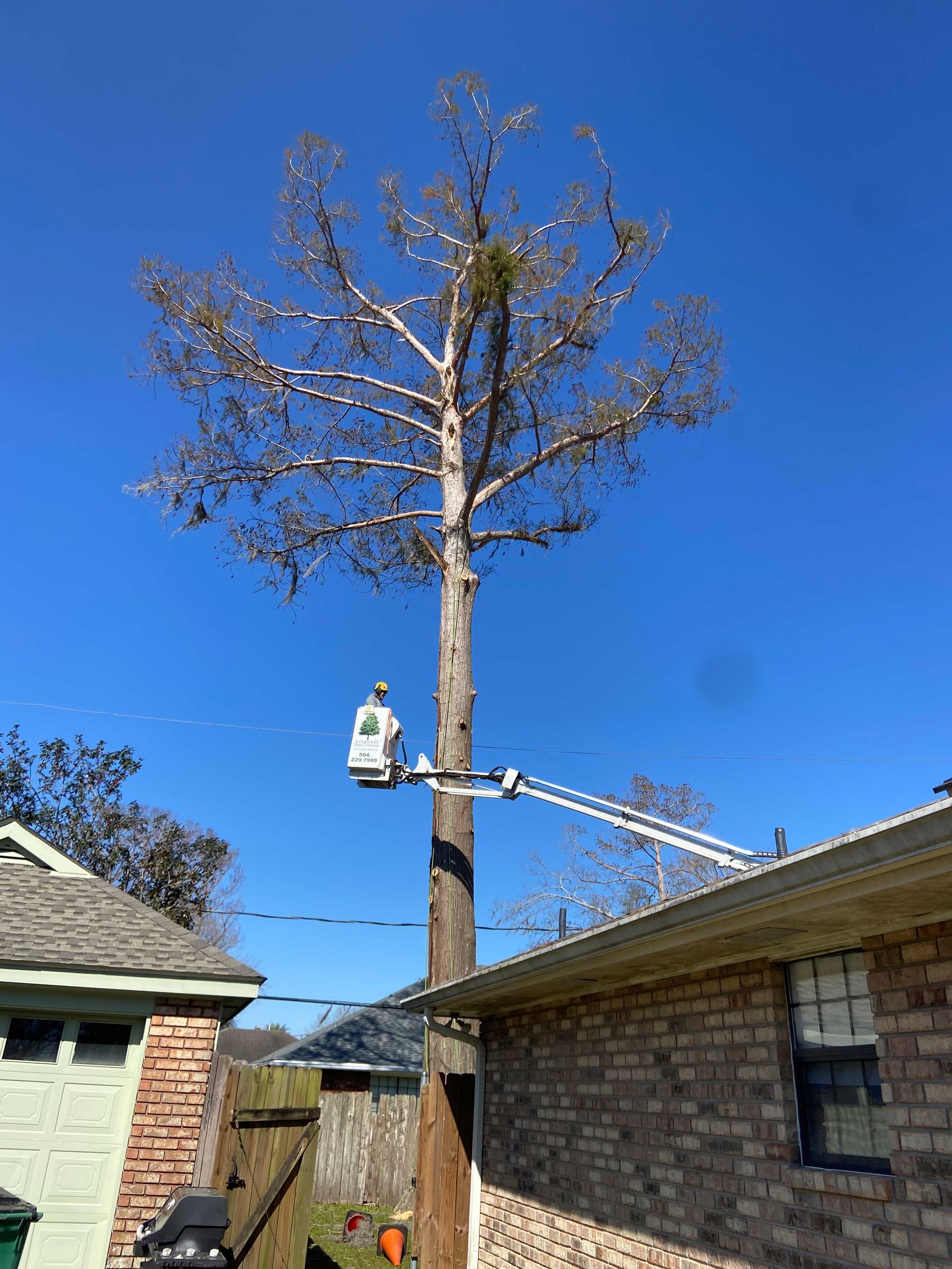 A man in a bucket is cutting a tree in front of a house.