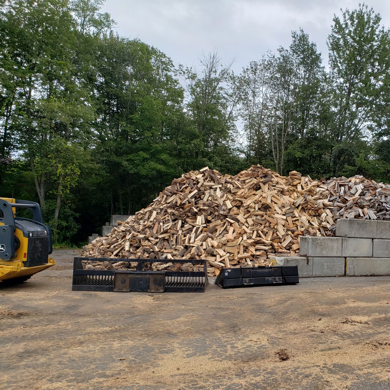 Trees — Tree Services in Warren, Rhode Island Trees — Tree Services in Warren, Rhode Island