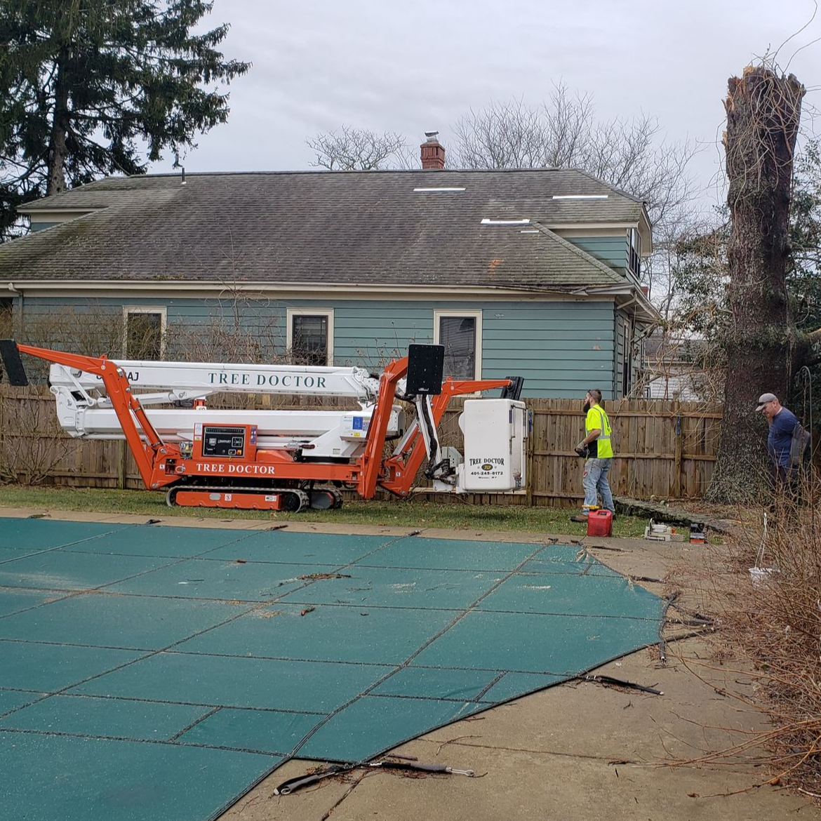 Plants Trimming — Tree Care in Warren, Rhode Island Plants Trimming — Tree Care in Warren, Rhode Island