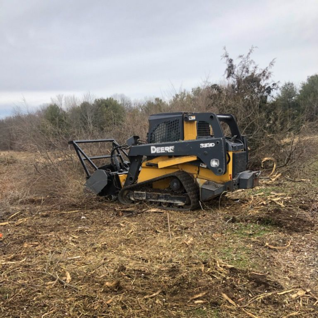 Small Plant — Tree Services in Warren, Rhode Island Small Plant — Tree Services in Warren, Rhode Island