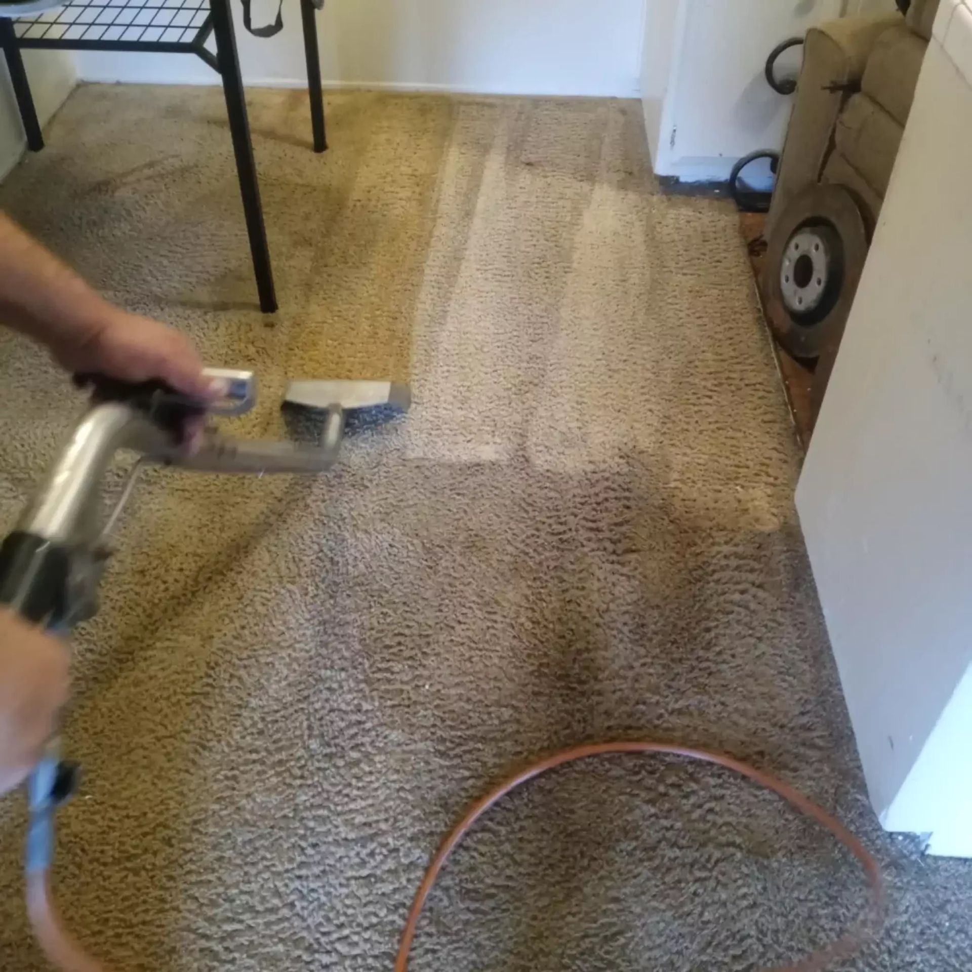 A person is cleaning a carpet with a vacuum cleaner.