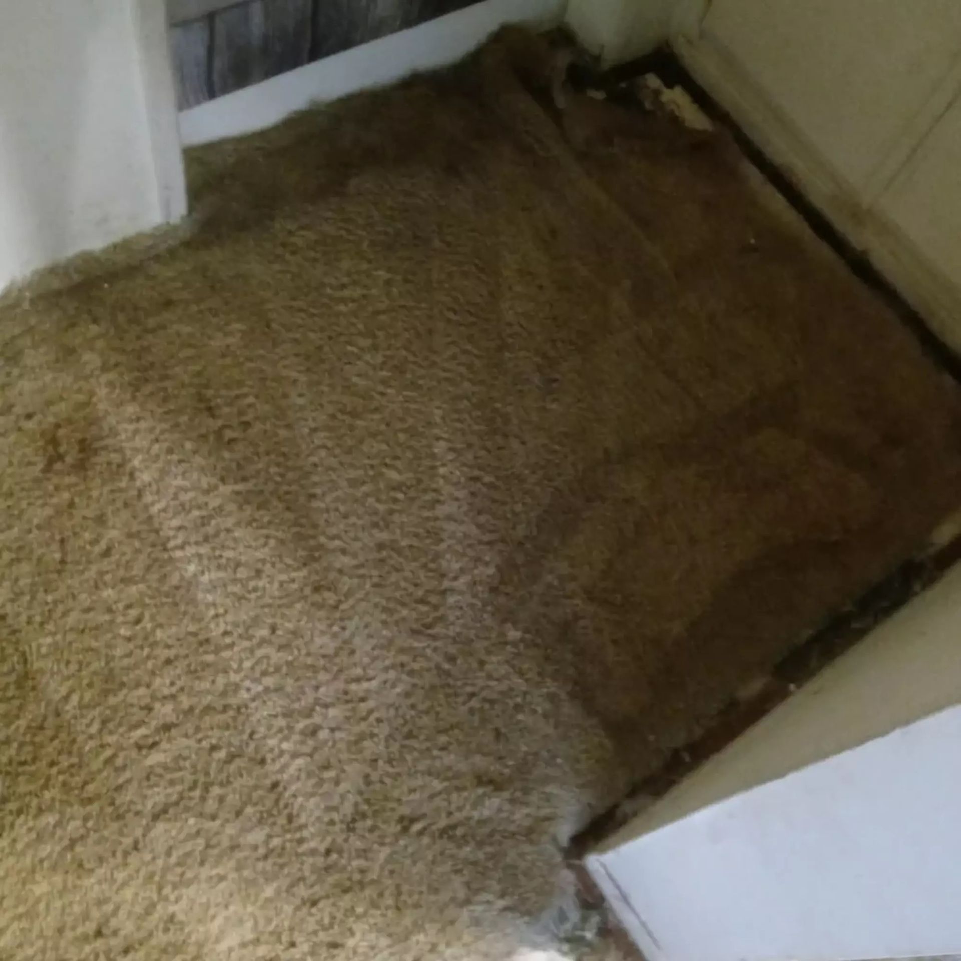 A brown rug is sitting on the floor in a room next to a door.
