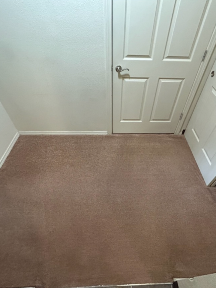 After Carpet Cleaning