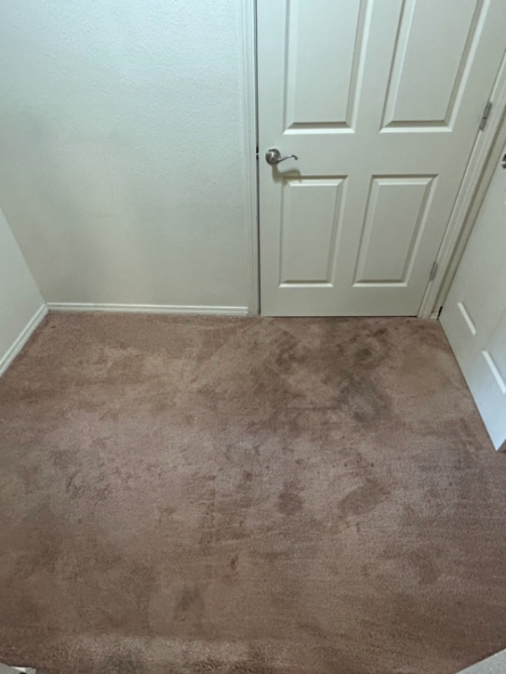Before Carpet Cleaning