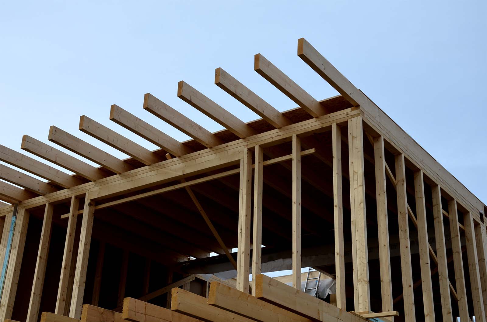 Home Renovation Service