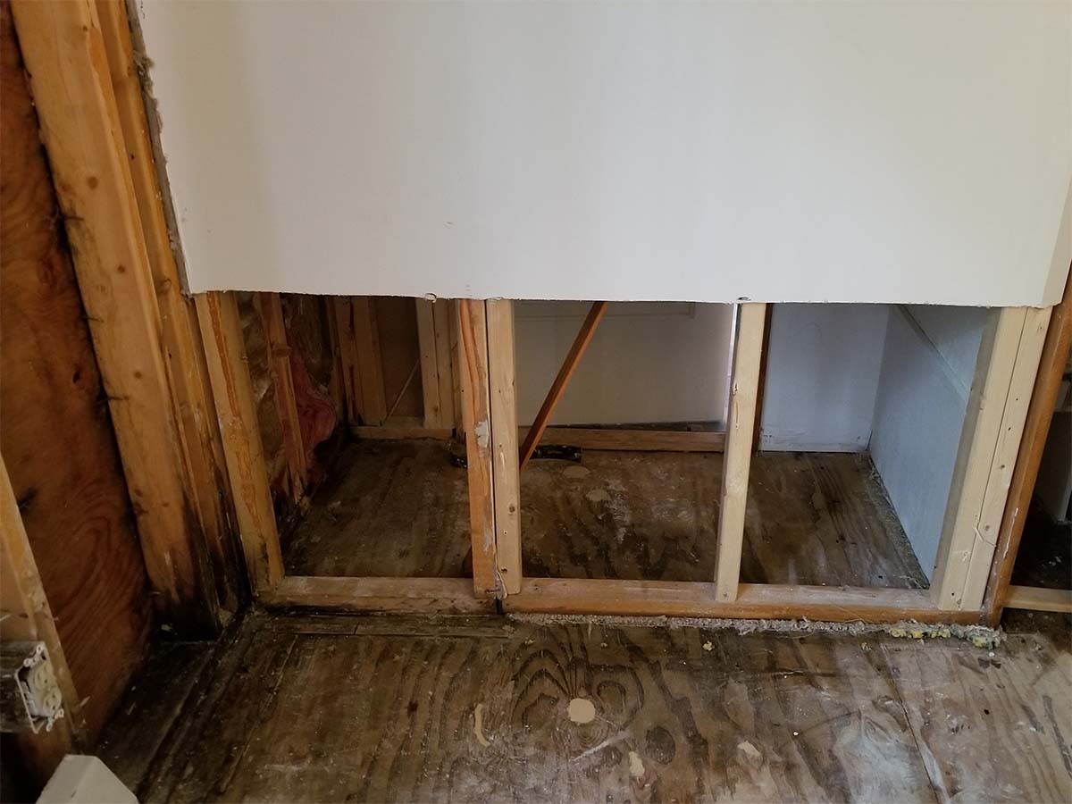 Water Damaged Timber Stud Wall