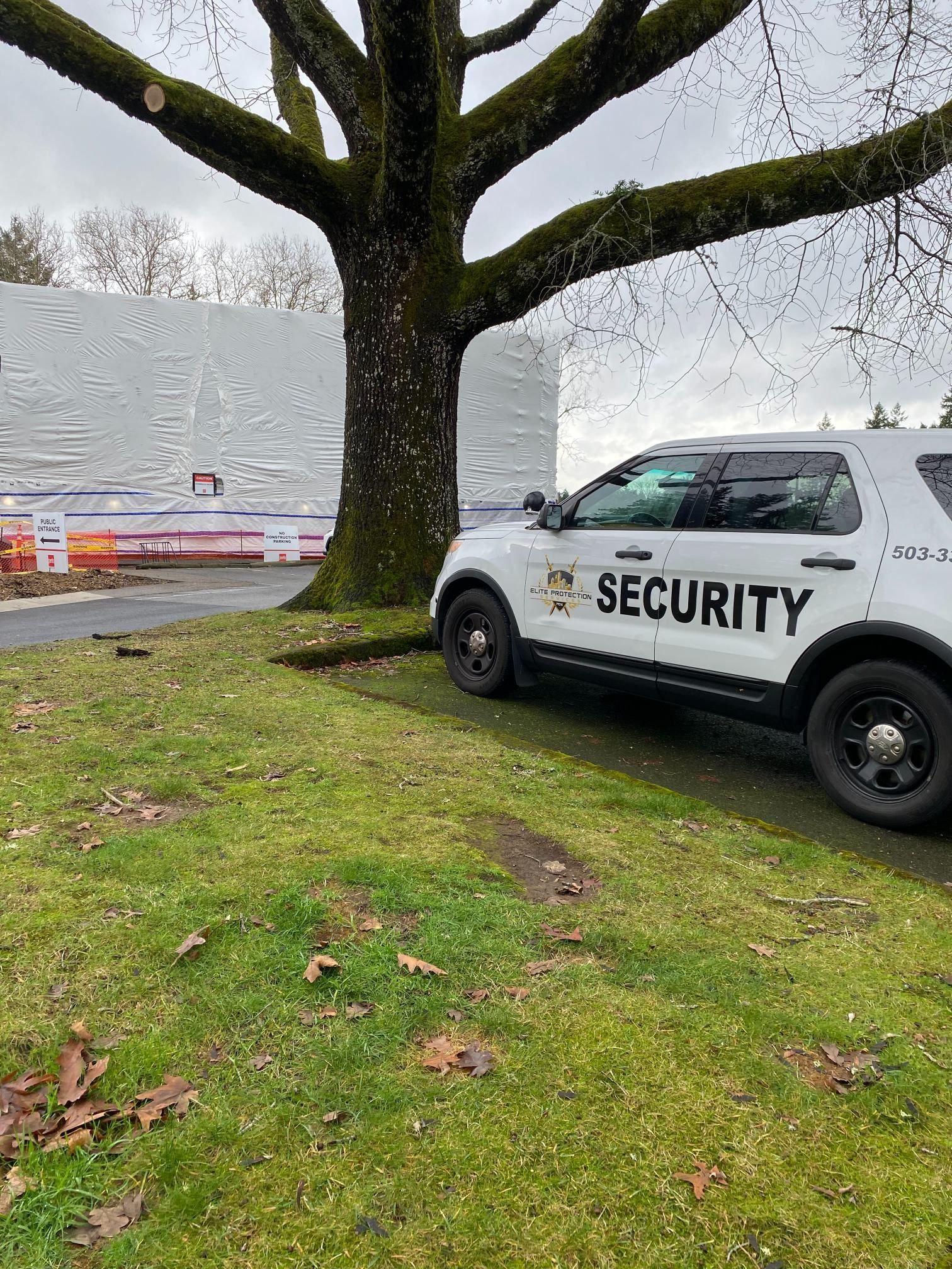 White security SUV parked beside a large mossy tree on a grassy field near a stadium.