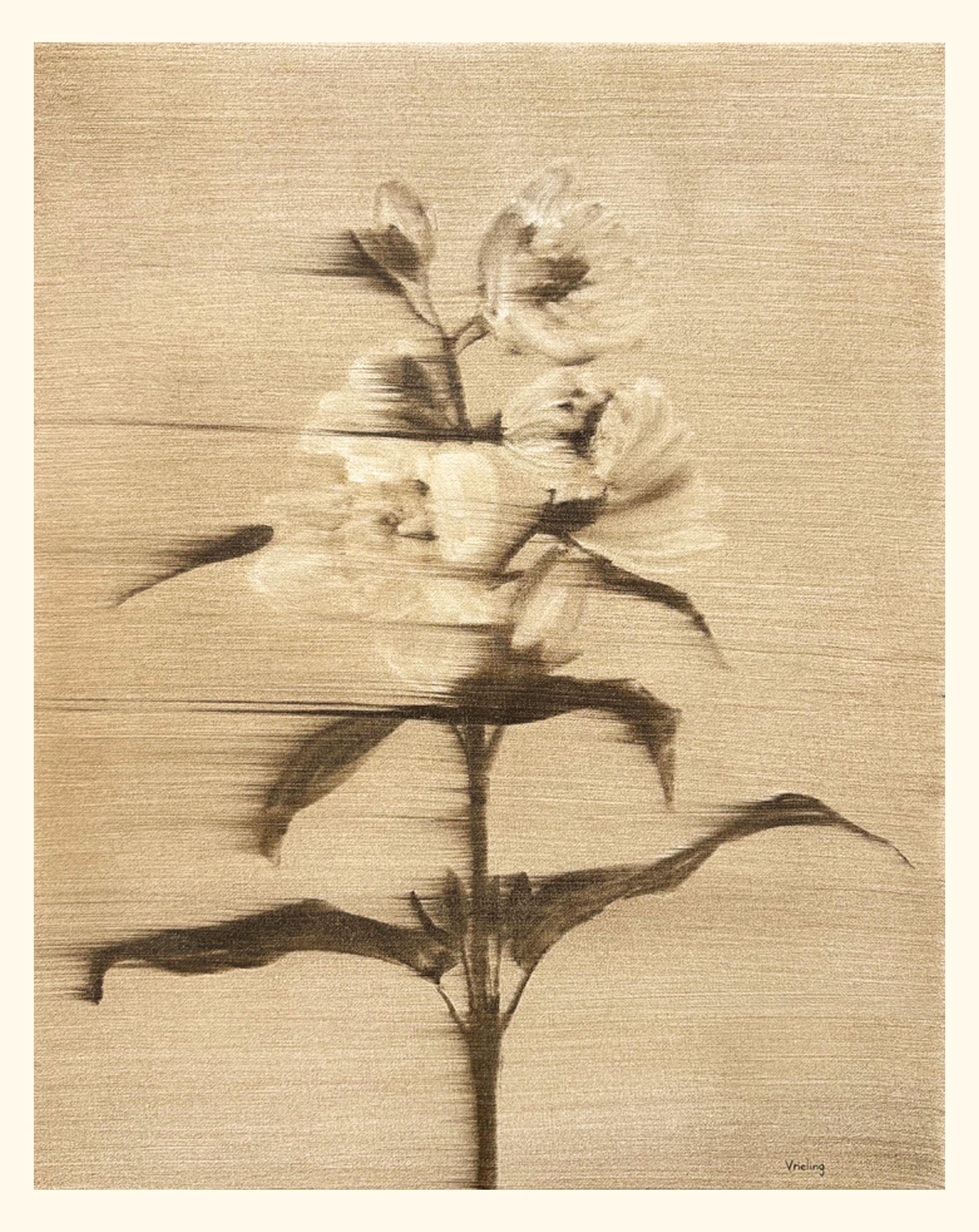 Print - Two Summers Ago