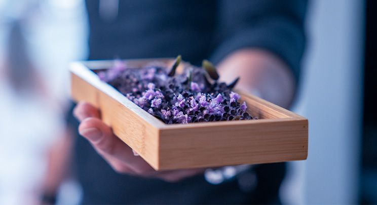 Eine Person hält ein Holztablett mit violetten Lebensmitteln, möglicherweise essbaren Blüten oder Gewürzen.