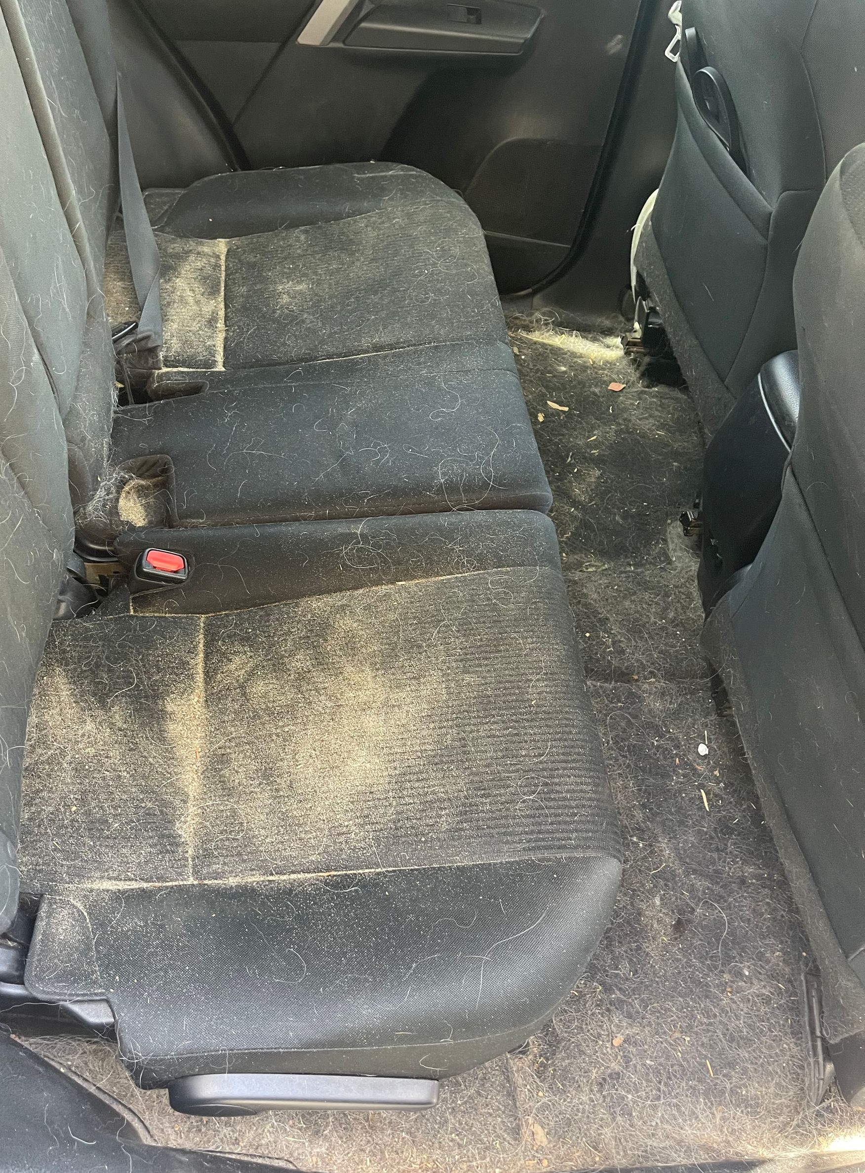 Dirty car back seat and floor covered with scattered debris and dirt stains.